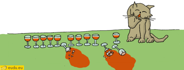 Er zijn 13 glazen. De kat heeft 3 glazen omgegooid.