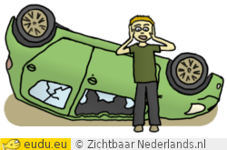 Een auto die ondersteboven op de weg ligt. De panikerende bestuurder staat ernaast.