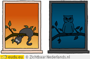 avond: een kat, middag: een uil
